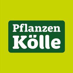 Auszubildende als Florist Stellenangebote