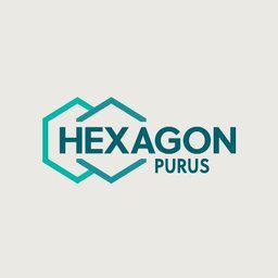 Stellenangebote bei Hexagon Purus Asa