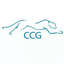 Stellenangebote bei Ccg De