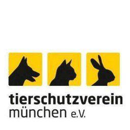 Tierschutzverein Helfer für Tiere in Not