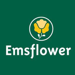 Stellenangebote bei Emsflower