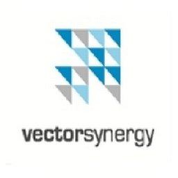 Stellenangebote bei Vector Synergy